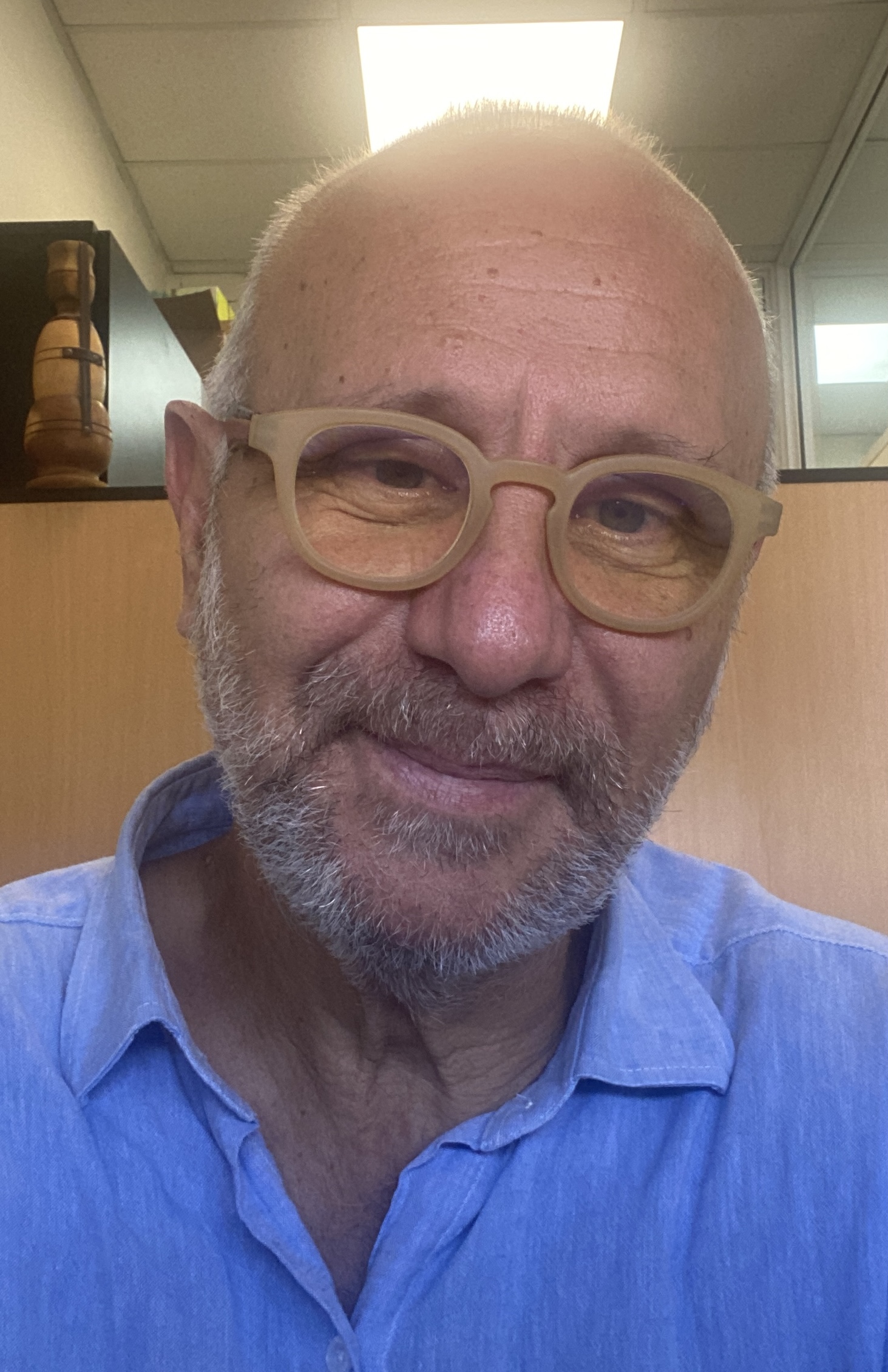 Virus-induced osteopathies